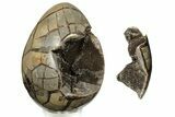 Septarian Dragon Egg Geode - Removable Section #191404-2